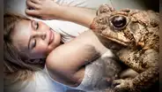 ¿Qué significa soñar con sapos y ranas? ¿Es un bueno o malo?