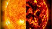 Némesis, la ‘gemela oscura del Sol’, pudo ser la razón de extinciones masivas en la Tierra