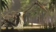 Revelan cómo era el Quetzalcoatlus, el animal volador más grande que ha existido