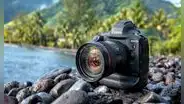 Canon anuncia oficialmente que ya no fabricarán más cámaras DSLR profesionales