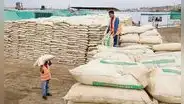 Franja de precios: tope arancelario al maíz, arroz, azúcar y leche sube a 40%