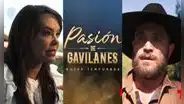 Pasión de gavilanes 2: ¿qué pasará con Franco Reyes? Michel Brown se pronuncia