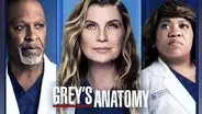 ¿Cuántas temporadas tiene Grey’s anatomy?