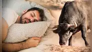 Significado de soñar con toros: ¿es un mal presagio o no?