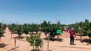 Mejora producción agrícola en Tacna