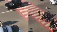 Perrito de la calle recibe ‘estrella de la fama’ por ayudar a los niños a cruzar la pista