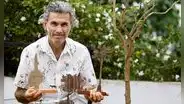 Javier Rubio del Valle: “Cuando tallo una madera busco que el árbol continúe vivo”