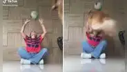 Cachorro se ‘alegra’ al ver que su dueña le tira una pelota y salta sobre ella para divertirse