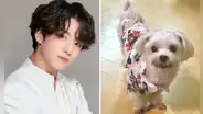 BTS: falleció mascota de Jungkook y así se despidió el hermano del idol k-pop