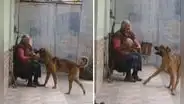 Graban a adulta mayor jugando a la pelota con su perrito y escena conmueve en TikTok
