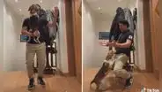 Joven baila salsa con su perrita y juntos protagonizan una coreografía que cautiva en TikTok