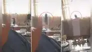 Perrito quería salir a pasear y se escapa por la ventana en presencia de su dueña