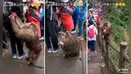 Mono saca una botella de refresco de la mochila de joven y le toca la pierna para agradecerle