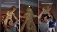 Joven se entera que sus amigos fueron a una fiesta con su perro para ‘bailar’ con él