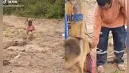Perrito corre por el campo para llevar desayuno a su dueño mientras él cumple con su trabajo