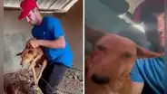 Hombre viaja hasta África para salvar la vida de un perro que iba a ser sacrificado