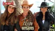 “Pasión de gavilanes 2”, capítulo 62 ONLINE: cómo ver por Telemundo en vivo