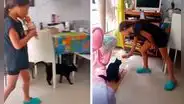 Niña hace dúo musical con su gatito y ambos conquistan las redes con su talento
