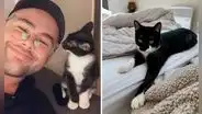 Joven gasta 100 dólares para saber lo que tenía su gatita, pero esta solo estaba harta de él