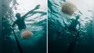 Turista nada en la superficie y es perseguido por medusas que estuvieron a punto de picarlo