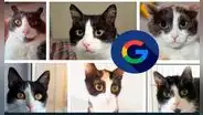¿Buscas imágenes parecidas a las que ya tienes? Sigue este útil truco de Google