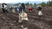 Agro Rural: requisitos que deben cumplir los proveedores internacionales de urea
