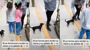 Tierno perrito hace cola junto a un grupo de niños para recibir su helado y galleta 