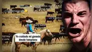 “Se te juntó el ganado”: ¿qué significa esta frase muy usada por los jóvenes en redes sociales?