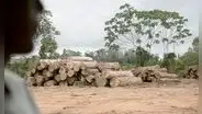 Amazonas: taladores y mineros ilegales tienen en la mira a líderes wampis