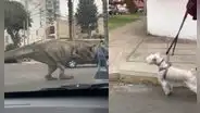 Joven sale a pasear con su disfraz de dinosaurio y ‘asusta’ hasta al perro de la vecina