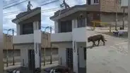 Joven tira agua desde su techo a hombre que dormía afuera de su casa para despertarlo