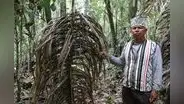 Pueblos indígenas en aislamiento y contacto inicial en riesgo por culpa de minería y tala