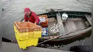 Congreso propone reactivar la pesca artesanal a través de las compras estatales