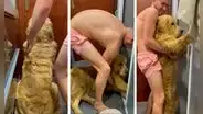 Perro se resiste a ser bañado y hace de todo para evitar que su dueño lo meta a la ducha