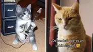 Crean nueva versión de “Mi bebito fiu fiu” en death metal y el resultado conquista a miles