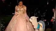 Alpaca bebé que visitó C.C. Jockey Plaza se convierte en chambelán de quinceañero