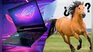 Asus: ¿qué significa el nombre de la marca y por qué lo asocian con caballos?