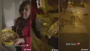 Mujer junta comida y sale todas las noches a repartirla a perritos callejeros de su vecindario