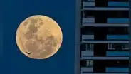 Superluna de ciervo 2022: así se vio la luna llena más grande y brillante del año