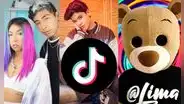TikTok: ¿cuánto dinero ganan por publicación los tiktokers más famosos de Perú?