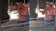 “Spider-Man” sube a bus para pedir dinero por tocar a sus arañas, pero la gente lo rechaza