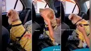 Perrito se enoja con su dueña por llevarlo al dentista y le da la espalda para no verla