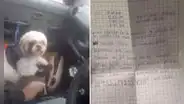 Taxista se percata que pasajero abandonó a su perrito con una nota en su auto