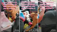 ‘Chiqui’, la perrita que ayuda a su dueño trabajando como cobradora dentro de taxi
