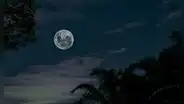 La luna llena de agosto 2022 será una superluna de esturión: ¿cuándo ocurrirá?