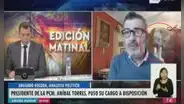Gatito interrumpe a su dueño mientras era entrevistado en vivo y protagoniza tierna escena