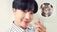 J-Hope de BTS y la historia del gato callejero que fue rescatado por el ídolo del k-pop