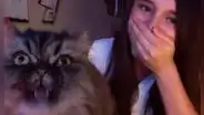 Gato interrumpe la clase de su dueña y se pone frente a la cámara para cantar ópera con ella