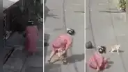 ¿Dulce venganza? Gato hace caer al piso a mujer que le arrojó agua