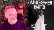 Crystal, el mono que es una estrella en Hollywood y ha trabajado en más de 30 series y películas